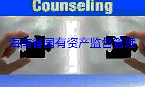 资产监督管海南省国有委副书记王有福接受审理委员会党查调查